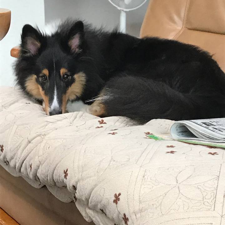 5d62b1ea 54e8 4ce4 b13b 54dd15eca3d7 1537762277075