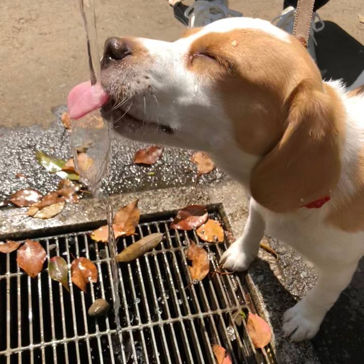 5d62d624 72f8 40aa a029 3155ed9ff005 1524481630622