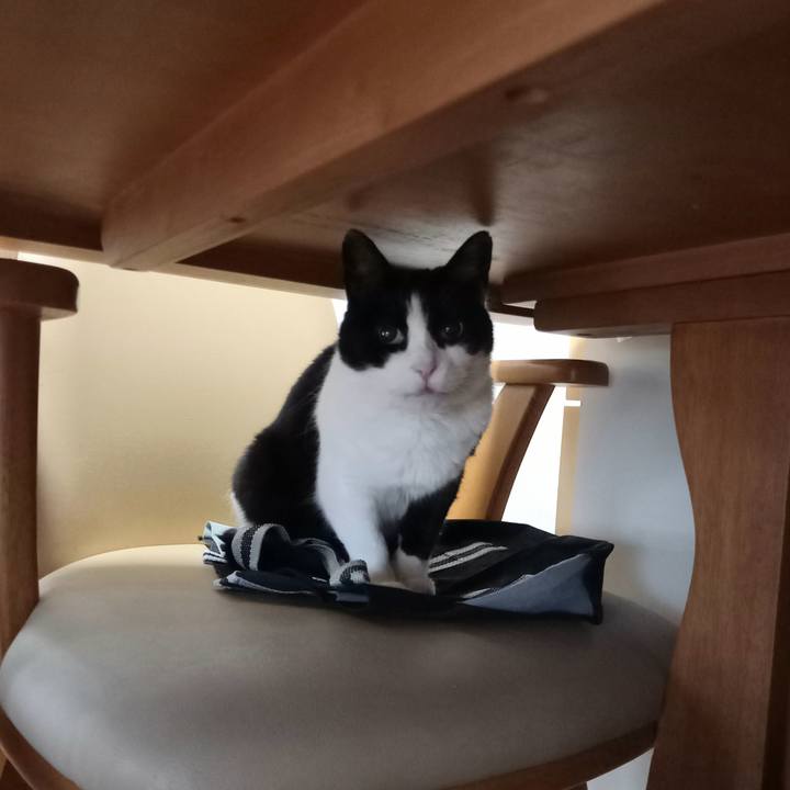 5d62d718 bde6 4301 88af 88e18a092229 1646290414597