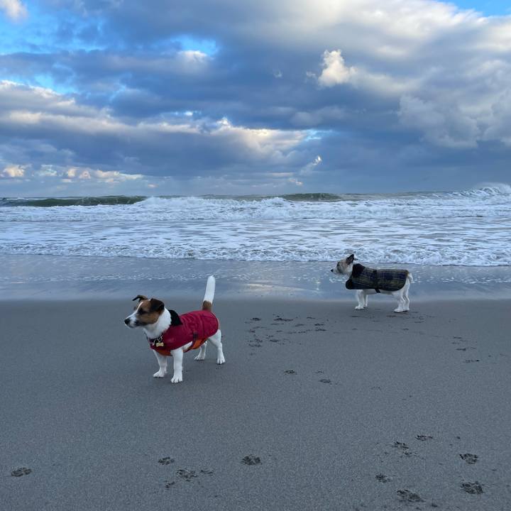 5d62ed4f ef38 4f1b 837e c0bc86367b1a 1673395229408