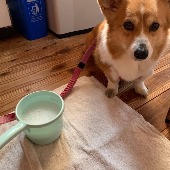 5d62ee77 74b8 4690 b9cc 351226b1a537 1647066535228