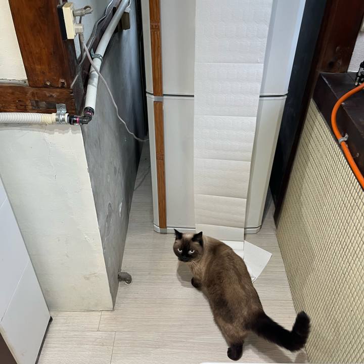 5d6320bf 2eeb 481a 8324 5b49e03be7a1 1759539844741