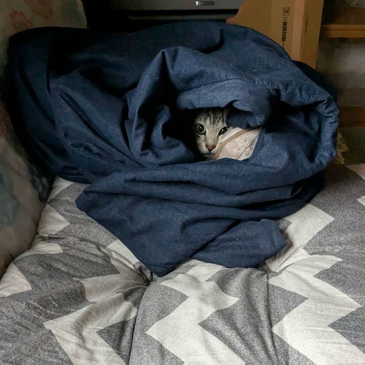 5d6326da e642 4e05 a08c 01928bfa360e 1764113213664