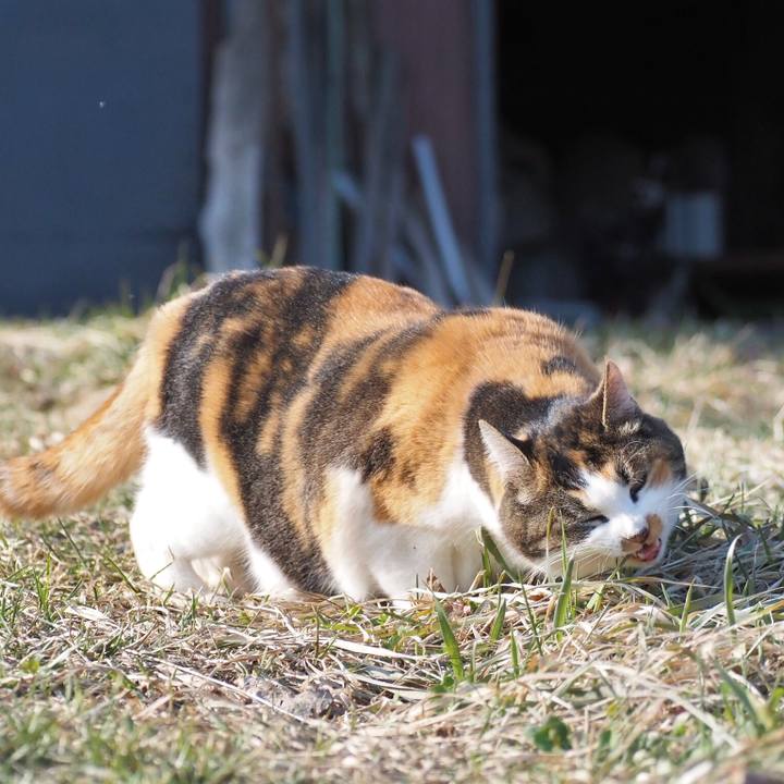 5d6331c6 3051 4934 8930 c7013440cf89 1774443485930