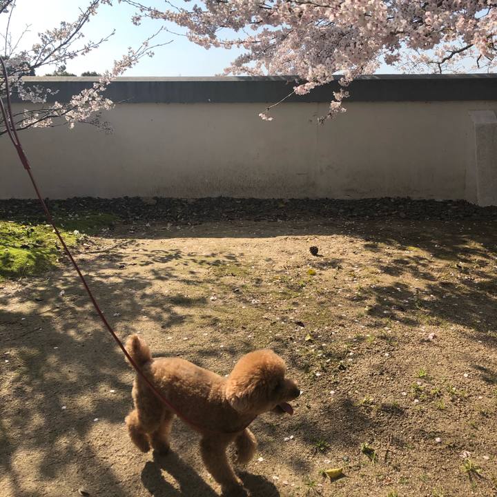 5d6344a0 c80f 4f03 bc03 7016d3075b38 1585993718840