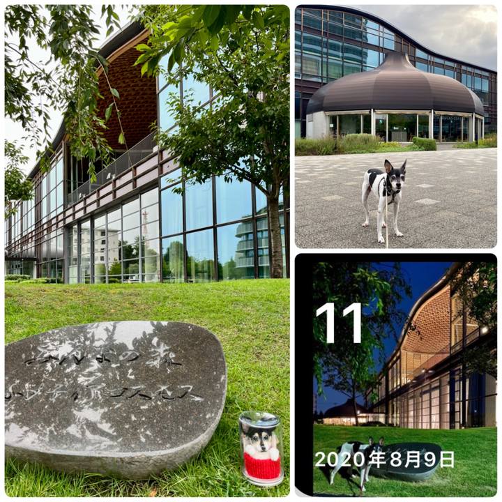 5d6344aa c0b5 4d9f 951e 364824ea8ea9 1660349228211