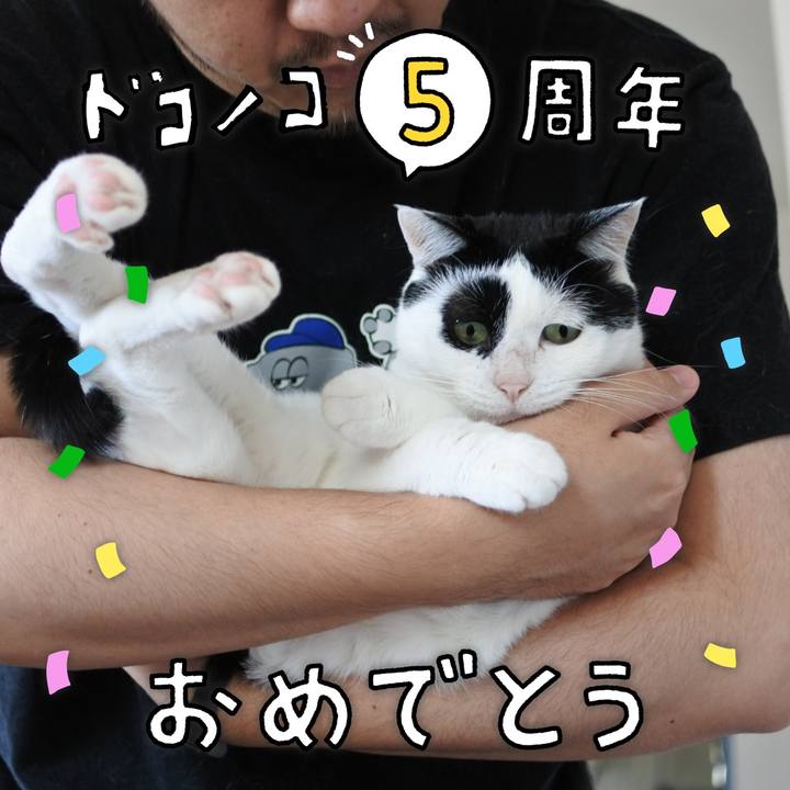 5d634dda 1067 42f2 9510 6bff48c333ed 1623037979618