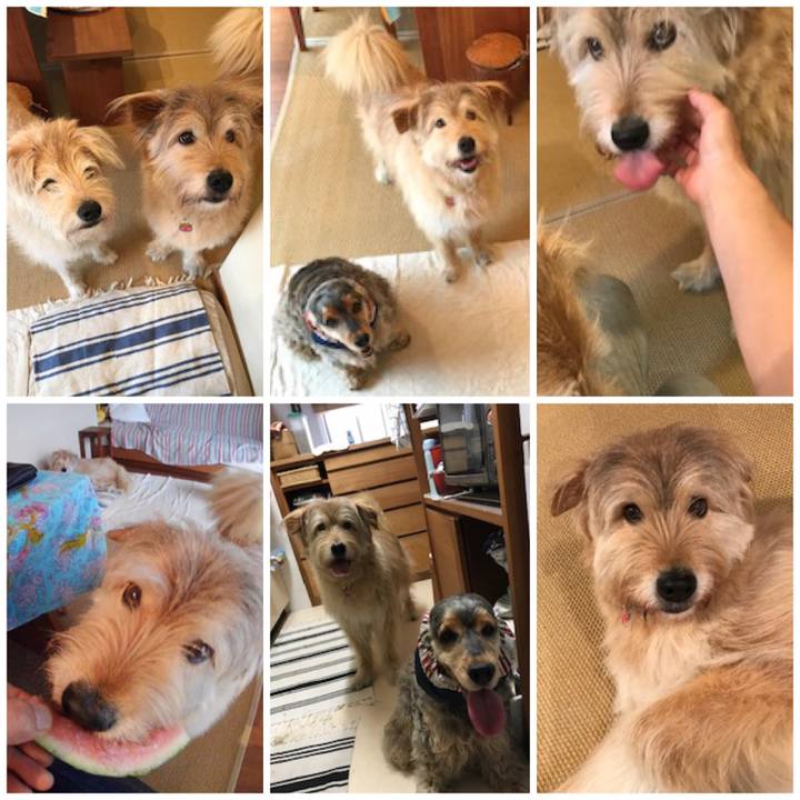 5d6350d3 e997 42d4 9f75 8b74a756855a 1561440828354