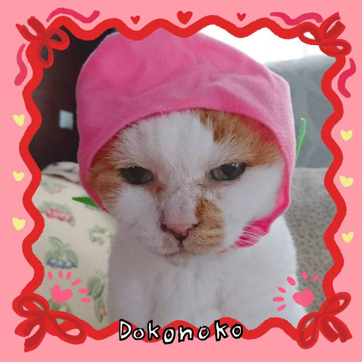 5d636506 1ad1 46a5 be07 ae8abb302bae 1706935387951