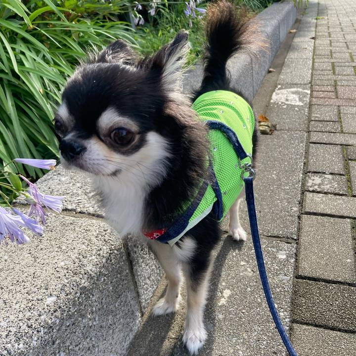 5d637e82 3b62 446b 869e 221887eee83a 1688310384315