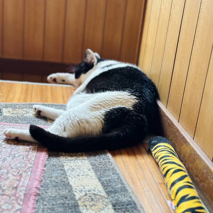 5d638f69 f7ce 410e ac2e 6d0f2baf9840 1727051757862