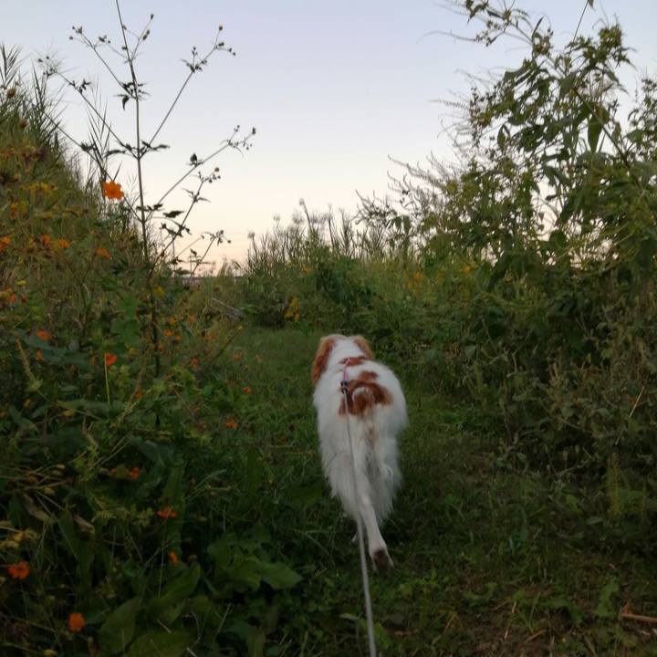 5d639d64 9f80 459c 9b19 1c7bde2a8f30 1603623915821