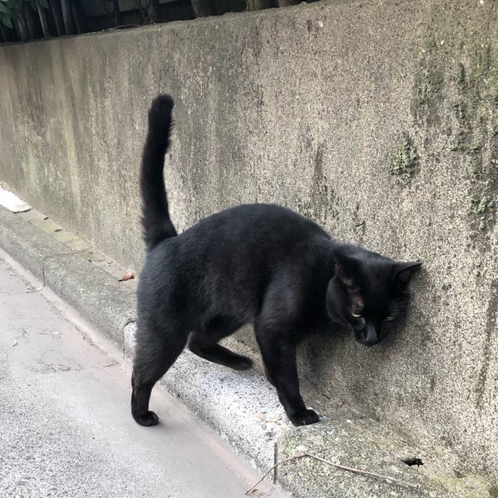 5d63dd50 392b 4387 8dce 6107f59c4b5d 1532203021417