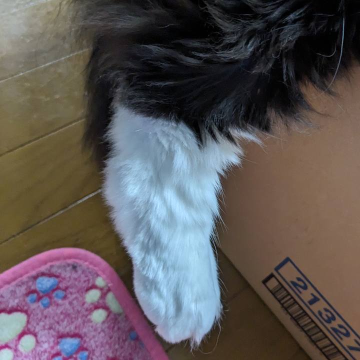 5d63f165 313f 435d 9968 baca571a06fe 1714298407374