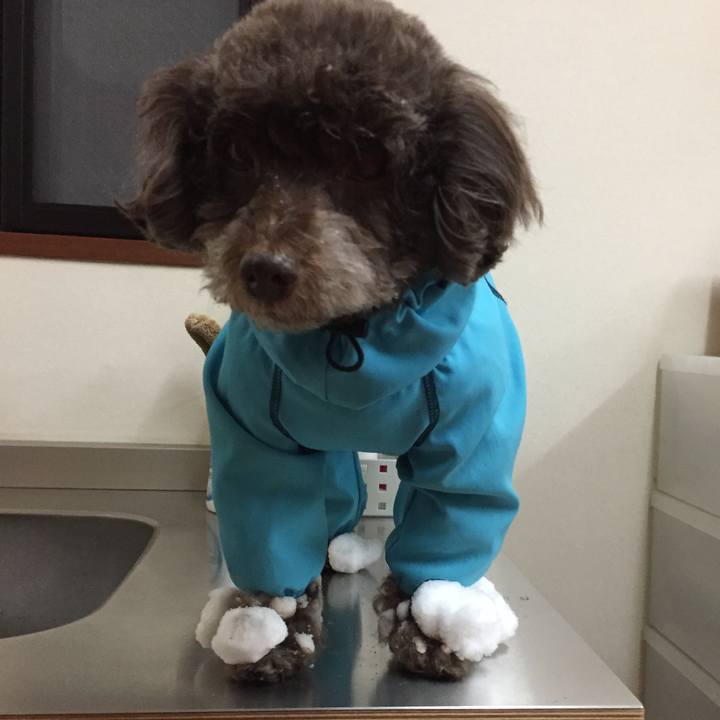 5d644144 3b4e 4837 820d ba4f4ab7cd55 1516672754442