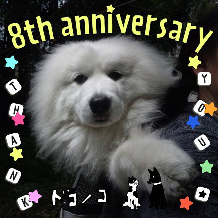 5d64684d d9a5 4267 9ecd ab4aa695d72f 1717720060117