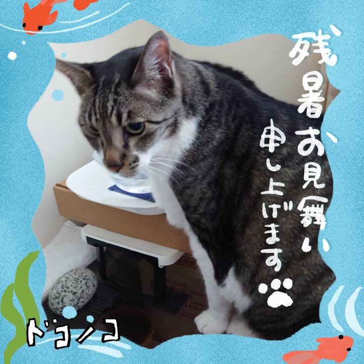 5d6492e4 c1f9 4b29 b473 1f1aac3f0bfe 1723434014659