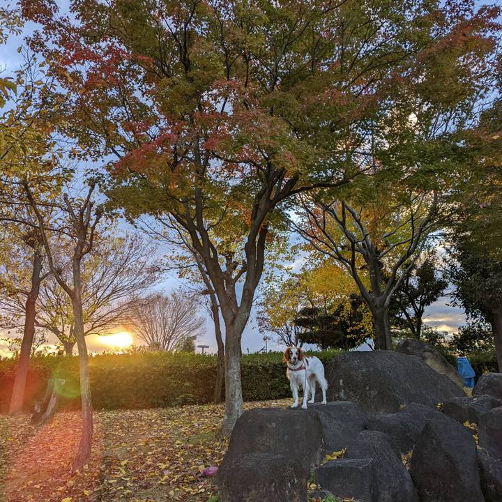 5d649b06 2985 4dc1 9863 991bb7b1a490 1637661033362