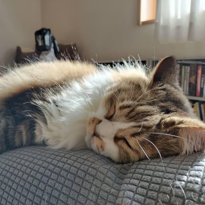 5d649de0 39ba 40b4 a005 32f8d377801a 1765599180555