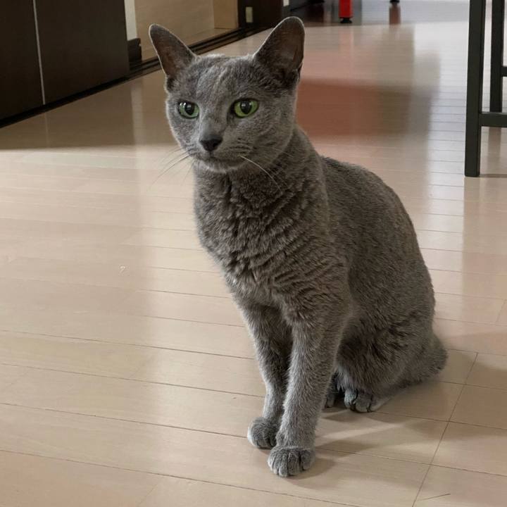 5d64d242 dd34 42fc 92ca 0695d5ea5974 1593212068983