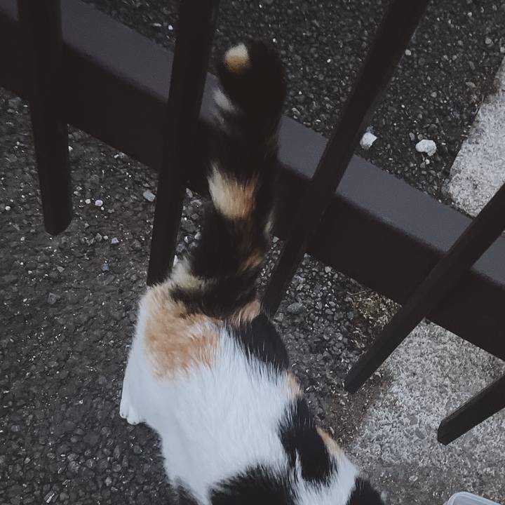 5d64d9b4 670a 4e5d ac30 0aad5e049610 1656733987427