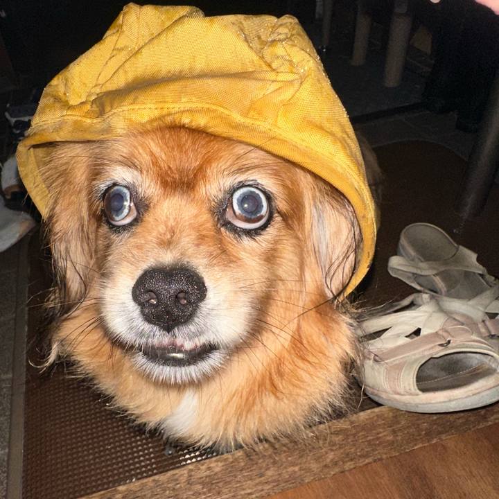 5d64eb29 ceee 4c95 982b 6cb097ce9967 1720733348813