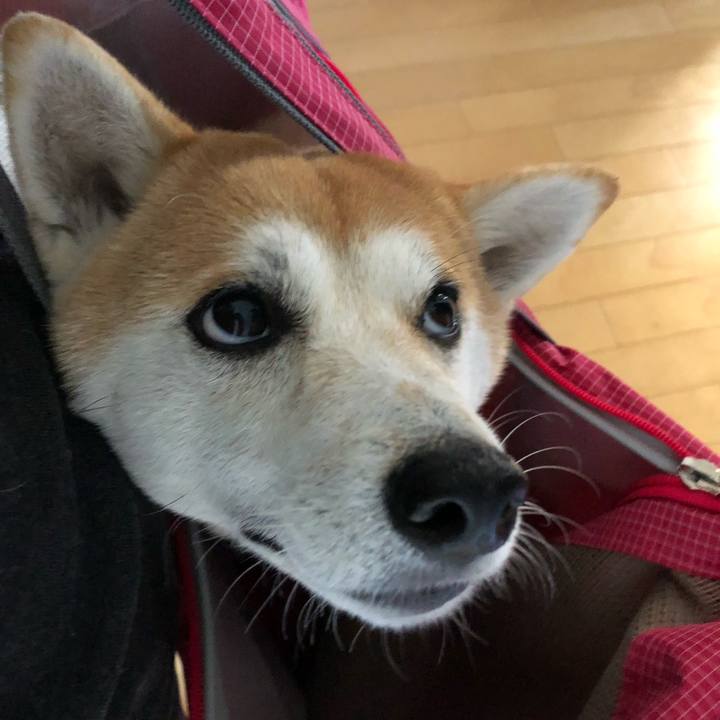 5d650c3e 0d54 4927 9def 8c1a9caf1b38 1541286040917