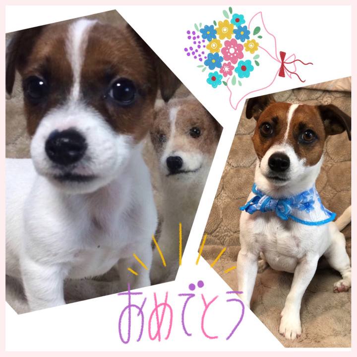 5d6533f3 b873 4c30 9418 0010ade4560c 1591071059338