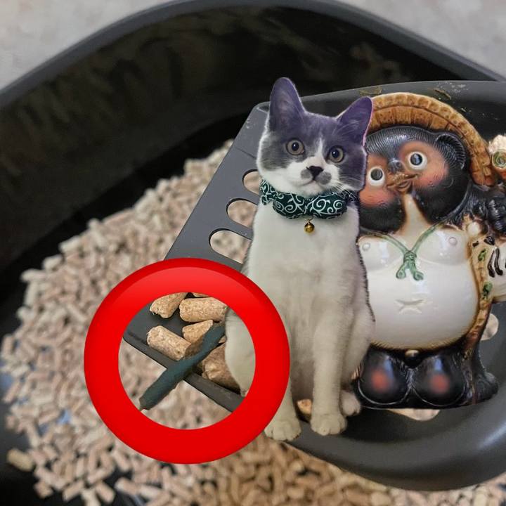 5d653d24 5ac6 4f6b 9260 1daff924d165 1749564454952