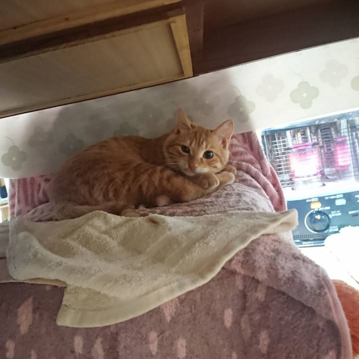 5d655a04 6058 4321 b2c9 2ea2c0e3353a 1635466917662