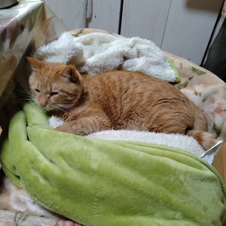 5d655b0d 05c4 45ab 9635 55eb3082a084 1674909082300