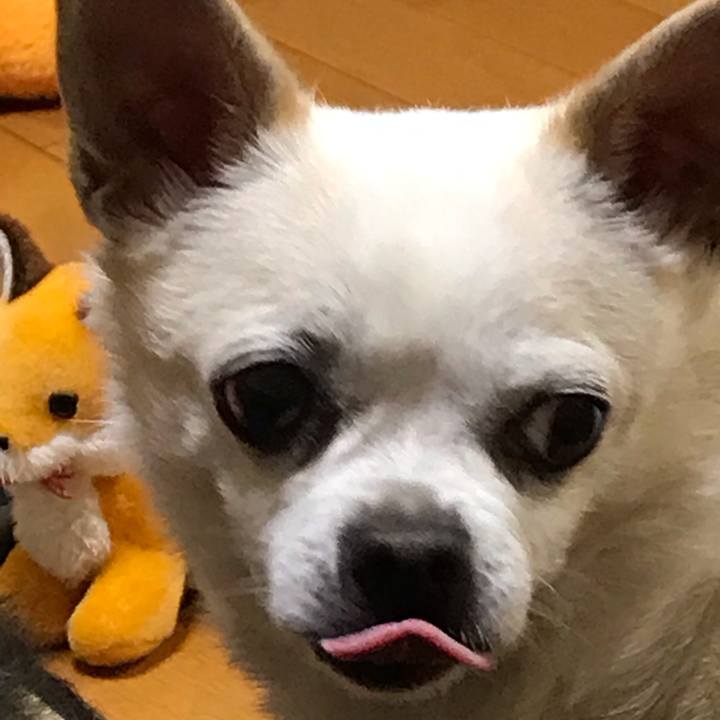 5d658d4e f07d 4590 87de d0cc8ac3cd4a 1556870303057