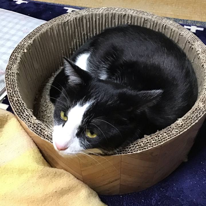 5d65bd4e 4896 4f14 9b10 486cd3d3dd49 1707554360121