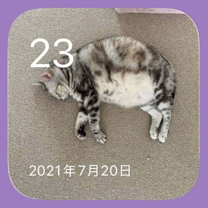 5d65f69c 27b8 4898 8026 3dbb7c6cfced 1784812670217