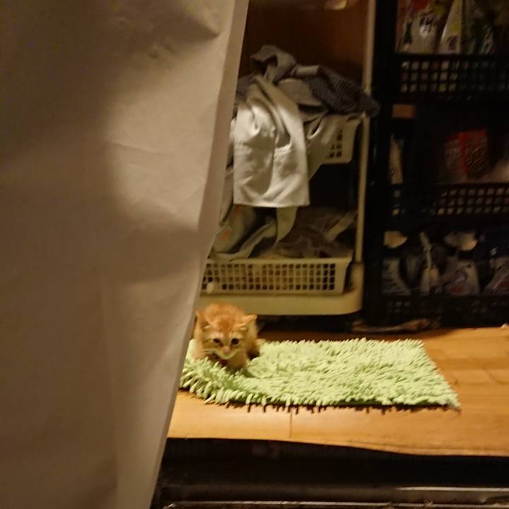 5d66039e e854 483d a5c1 fd8a5210fd7b 1629457571417