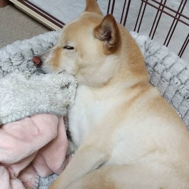 5d6604f5 e151 4ad6 be52 63be288aa052 1588157872179