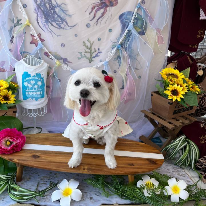 5d660995 b6d7 49aa a90e 0b2f5b1ce558 1685877332992