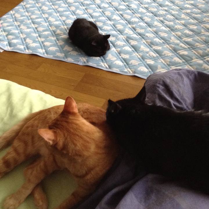 5d660a23 7f96 4295 a986 8b8ff7c3c8b5 1533369603490