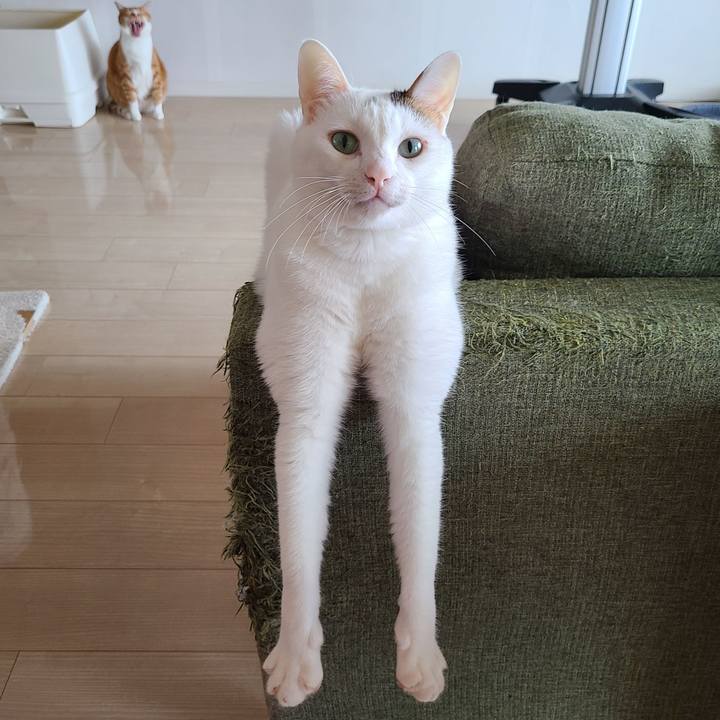 5d661514 21b4 45a7 862b bef396d5e458 1659427855264