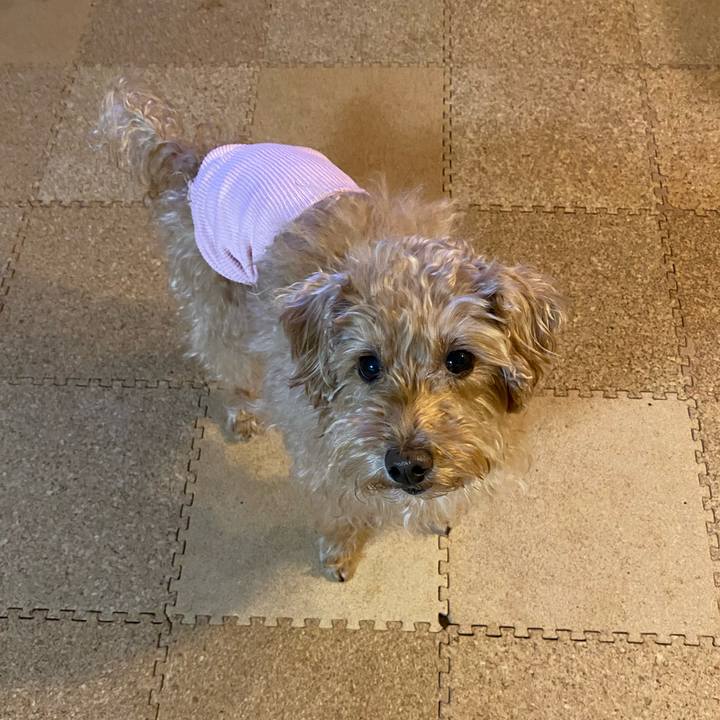 5d661ab6 cf3e 4686 9cc4 0b571f99f981 1705179402350