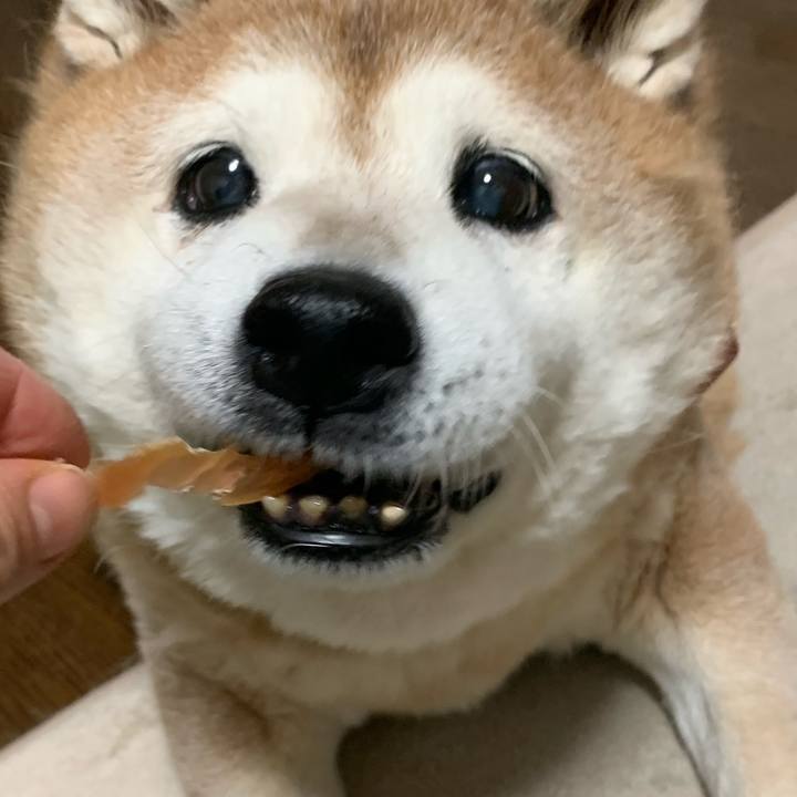 5d6627d0 76b3 43b1 8b4d 1ef1649c8f8f 1610624107052