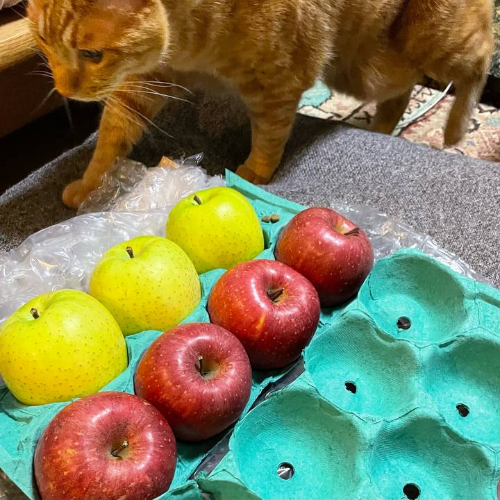 5d66546e b726 4cdb a4e8 c218dd751115 1703854992848