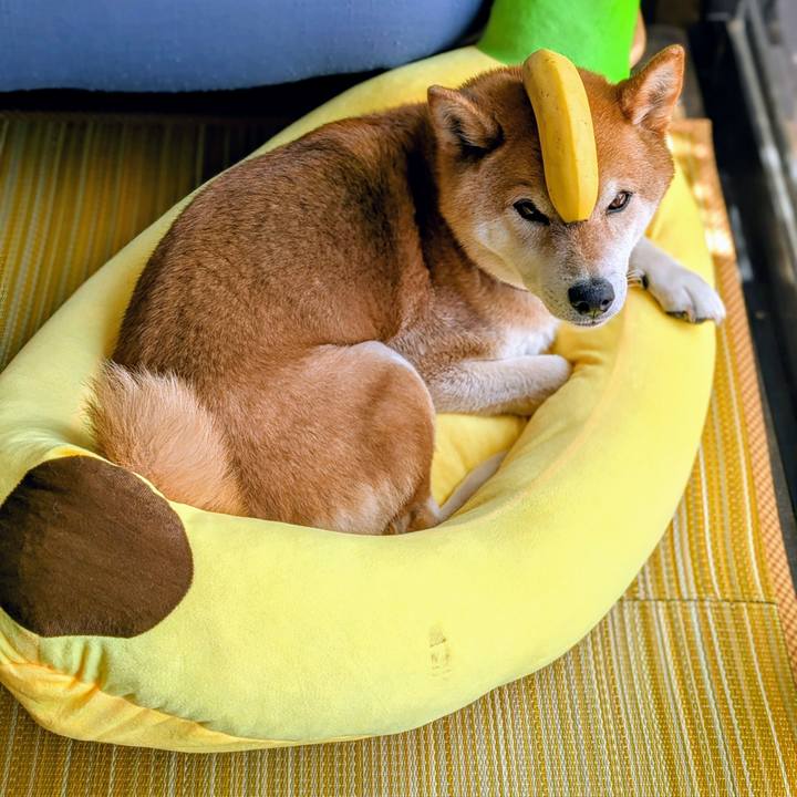 5d6662f2 0cef 4757 a8ea abac38d2775f 1749276897961