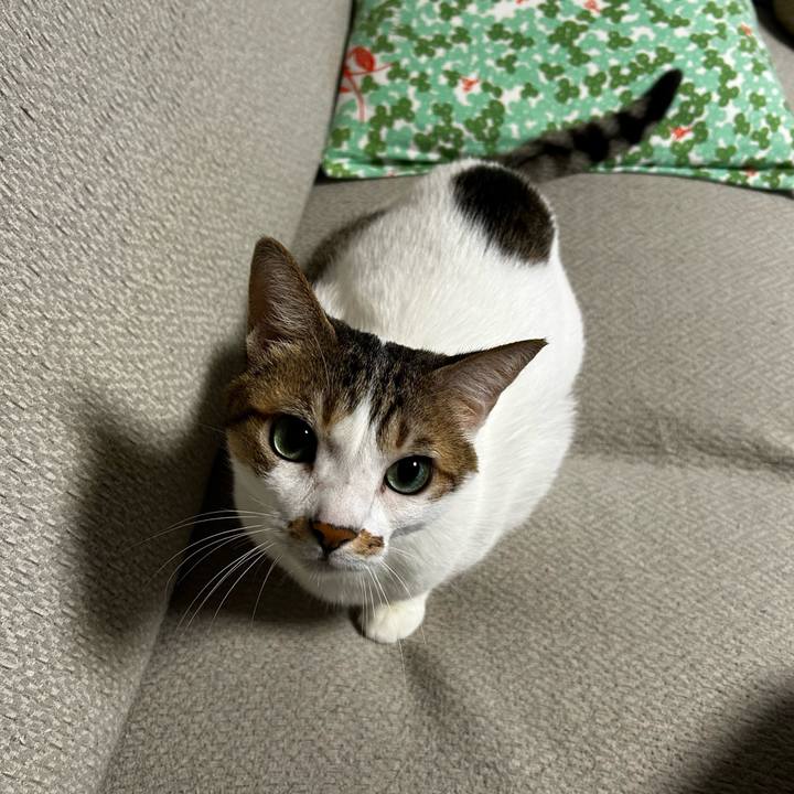 5d66bc9c d59a 45da 82a1 ed5d3653cafa 1760392823728