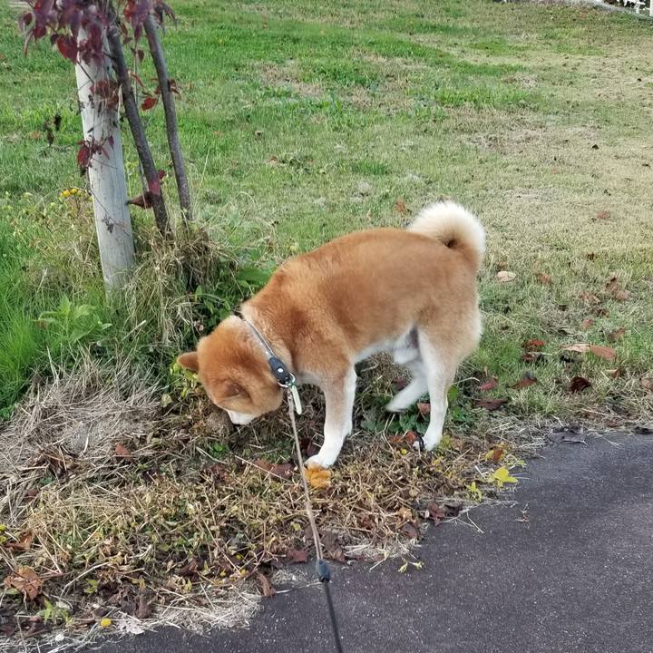 5d66d1b7 7897 41a7 a0cc 165bdae664bf 1667978531114