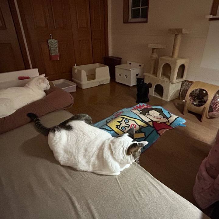 5d66d390 e476 4fbf 9c28 3e1ee0c429d8 1677271609079