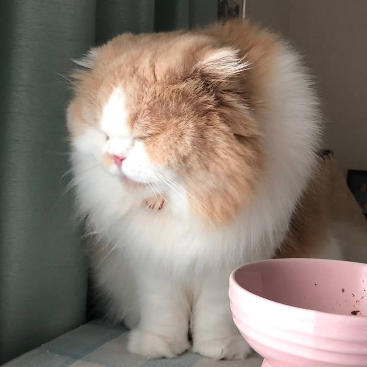 5d66e80c 5756 4137 a13d 2caa15c1334d 1601676290524