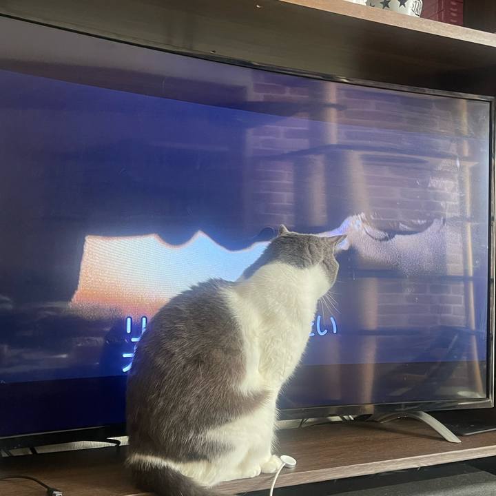 5d66ed3e 3617 4cc4 bac2 31077ab34f9e 1734589539161