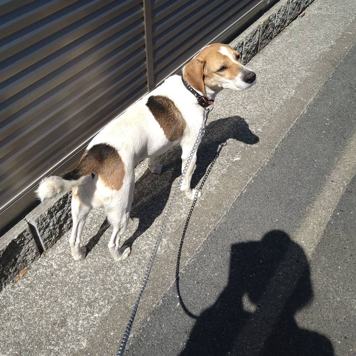 5d6722ec 44ae 4822 9d80 fdfd44b48144 1621156773342