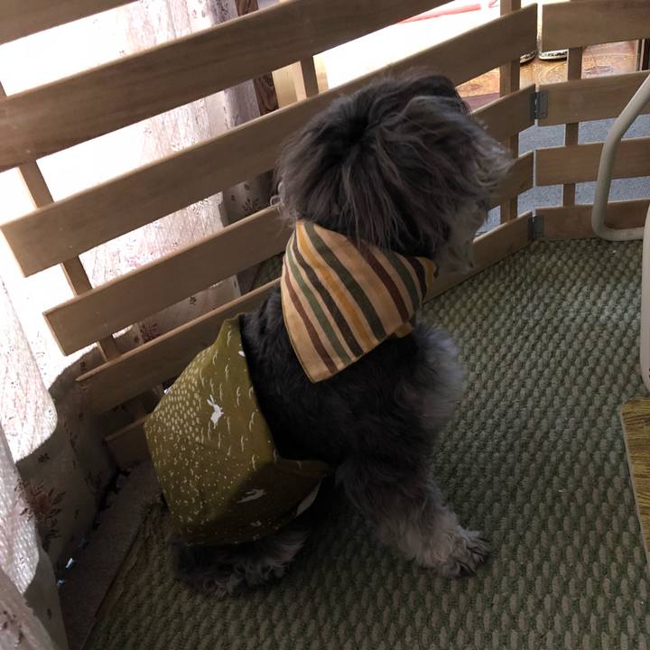 5d67597f 9ea5 4aba 9dda a1eddb387748 1532135922885